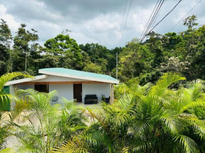 Jonka House Private Jungle Oasis